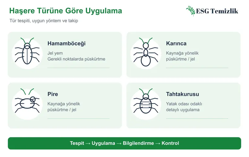 Hamamböceği, karınca, pire ve tahtakurusu için yöntem infografiği