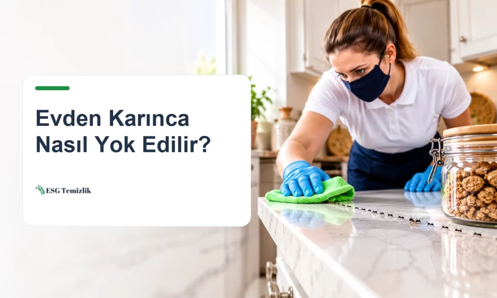 Mutfak tezgâhında kapalı kavanoza doğru ilerleyen karınca yolu