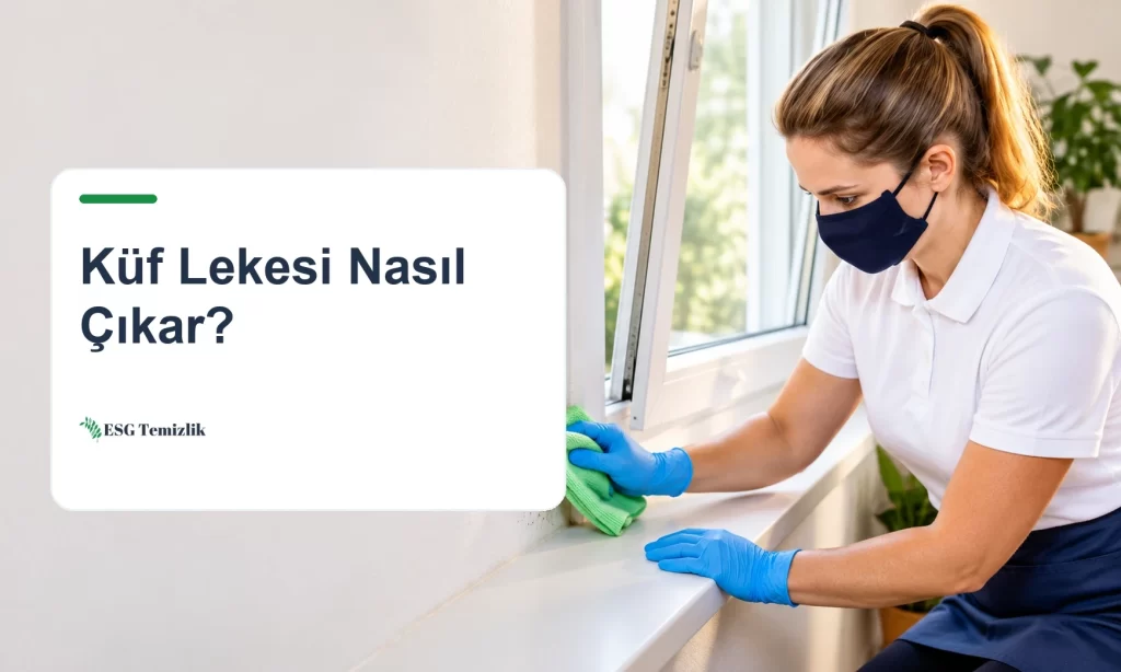 Pencere köşesindeki küf lekesinin eldivenle nemli bezle silinmesi
